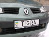 -Tigra-