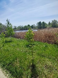 IMG_20260509_113535.jpg