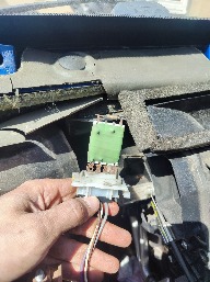 /upload/iblock/08d/kwks3pt8yo3qwbw6ix00gylirlpurwhz/IMG_20260502_114157.jpg