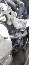 IMG_20260925_143001.jpg