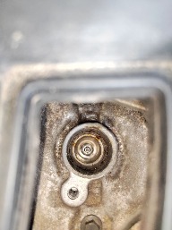 IMG_20250504_155726.jpg