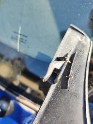 IMG_20250809_102125.jpg