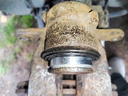 IMG_20251120_091930.jpg