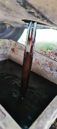 IMG_20260925_144652.jpg