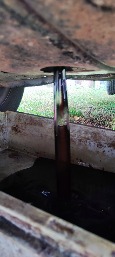 IMG_20260925_144647.jpg