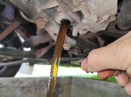 IMG_20250913_121732.jpg