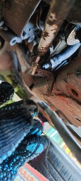/upload/iblock/611/ldqwlvx671xh4o8csl6f2avei1nz7x87/IMG_20260919_180937.jpg
