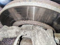 IMG_20251120_081500.jpg
