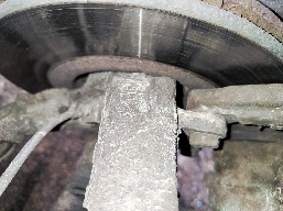 IMG_20251120_081512.jpg
