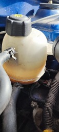 IMG_20260925_143009.jpg