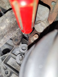 IMG_20241214_111522.jpg