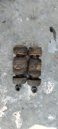 IMG_20261004_135413.jpg