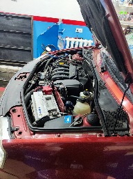 IMG_20260318_135533.jpg