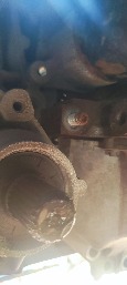 /upload/iblock/c1e/oho74x14xhyh2qli02ngyd3pf31v1ba2/IMG_20260920_113655.jpg