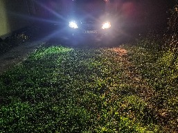 IMG_20250829_222110.jpg