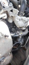 IMG_20260925_142959.jpg
