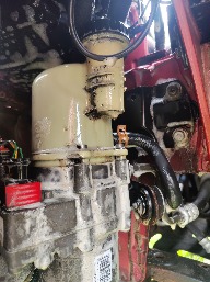 IMG_20250504_133036.jpg