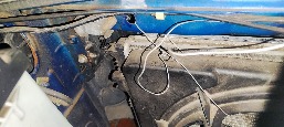 IMG_20260919_193406.jpg