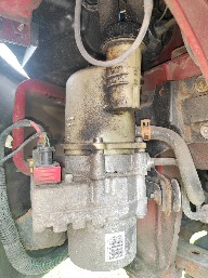 IMG_20250504_131608.jpg
