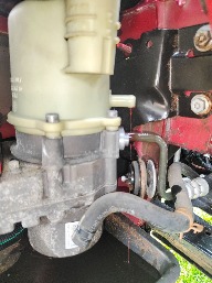 IMG_20250504_135056.jpg
